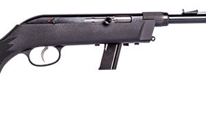 64 Takedown 22lr 16.5"Bbl SA DBM 10rd