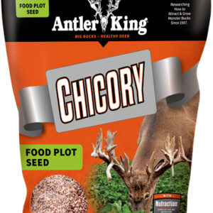 ANTLER KING CHICORY 1# BAG - PERENNIAL 1/4 ACRE