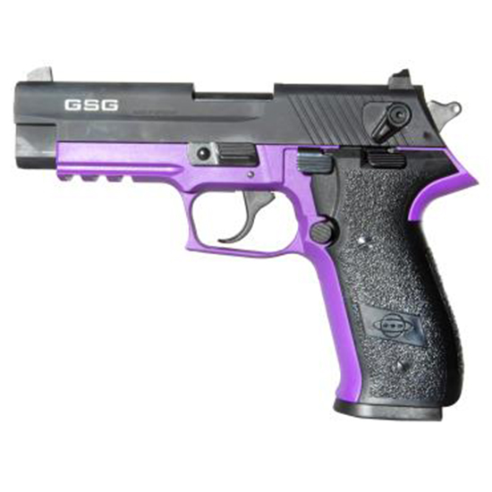 A picture of ATI20GERG2210FFL with USA Gun Store
