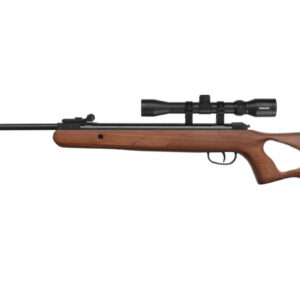 BLG DIANA TWO-FIFTY .22 24 JOULE