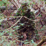 A picture of MOOBLSLXL IN USE with USA Gun Store