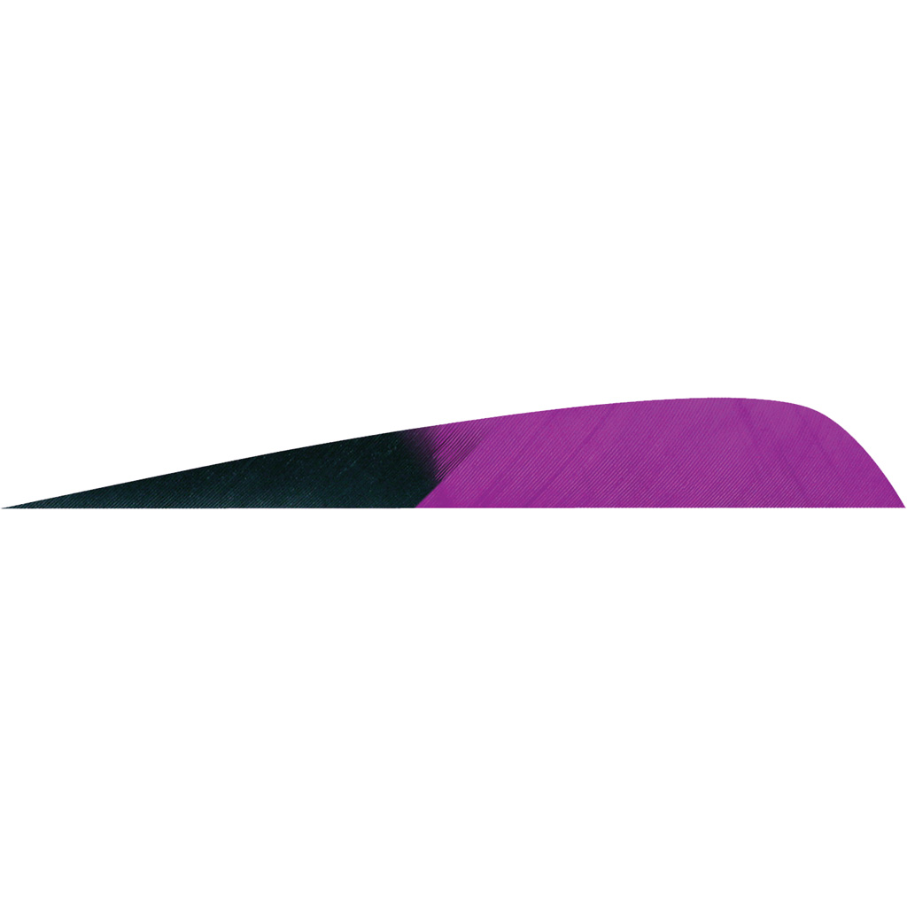 Gateway Parabolic Feathers Kuro Purple 4 in. LW 50 pk.