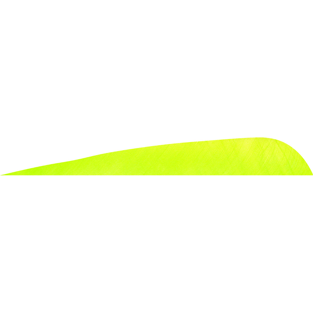 Gateway Parabolic Feathers Lemon Lime 4 in. LW 50 pk.