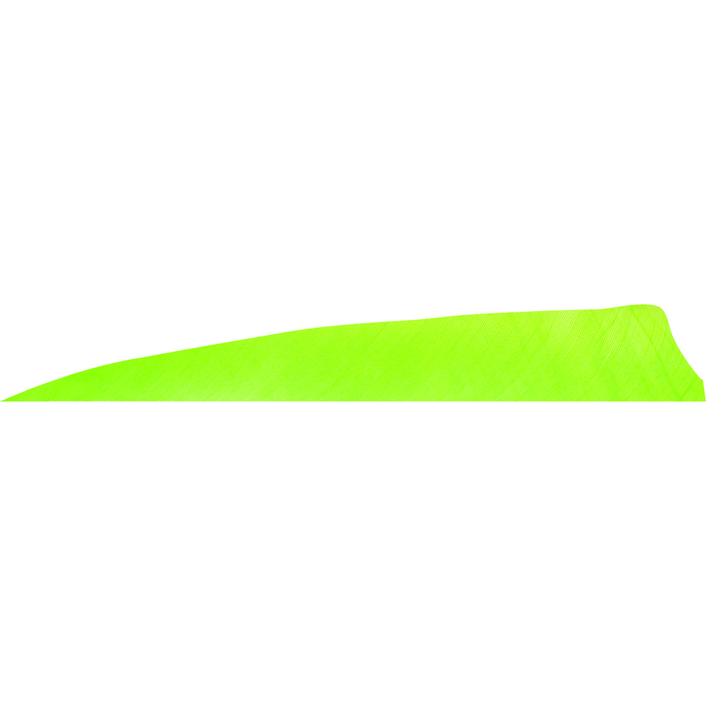 Gateway Shield Cut Feathers Charteuse 4 in. LW 50 pk.