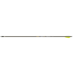 Gold Tip Pierce LRT Arrows 250 2.1 in. Fusion X II Vanes 6 pk.