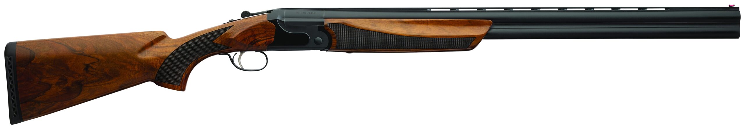 202e1aaa.jpg
