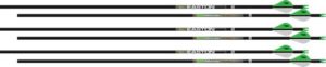 EASTON ARROW AXIS 4MM 340 2" - BLAZER VANES 6-PACK LONG RANGE
