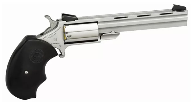 North American Arms Mini-Master Combo 22LR/22 Mag 4″ 5-Shot Stainless NAA-MMC