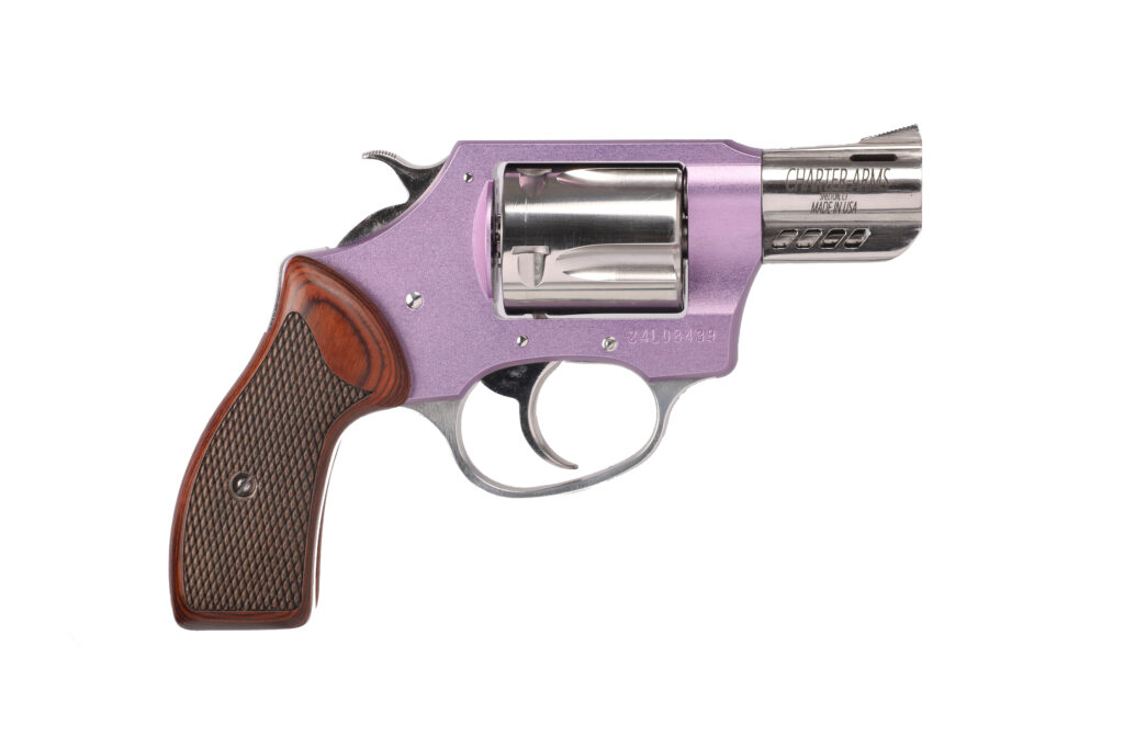 CHARTER ARMS COYOTE 380ACP PURPLE/SS 2″ 5RD | USA Gun Store