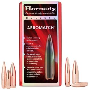 AEROMATCH 6MM/243 (0.243) 105GR HOLLOW POINT BT 100/BOX