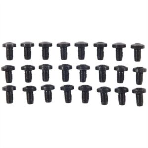 24 PACK H/H BLUE SCREWS