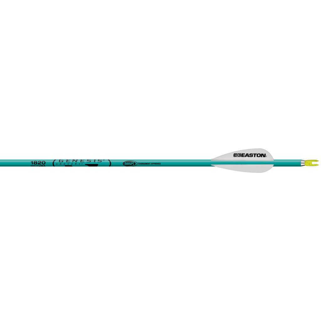 Easton Genesis Arrows Teal 1820 6 pk.