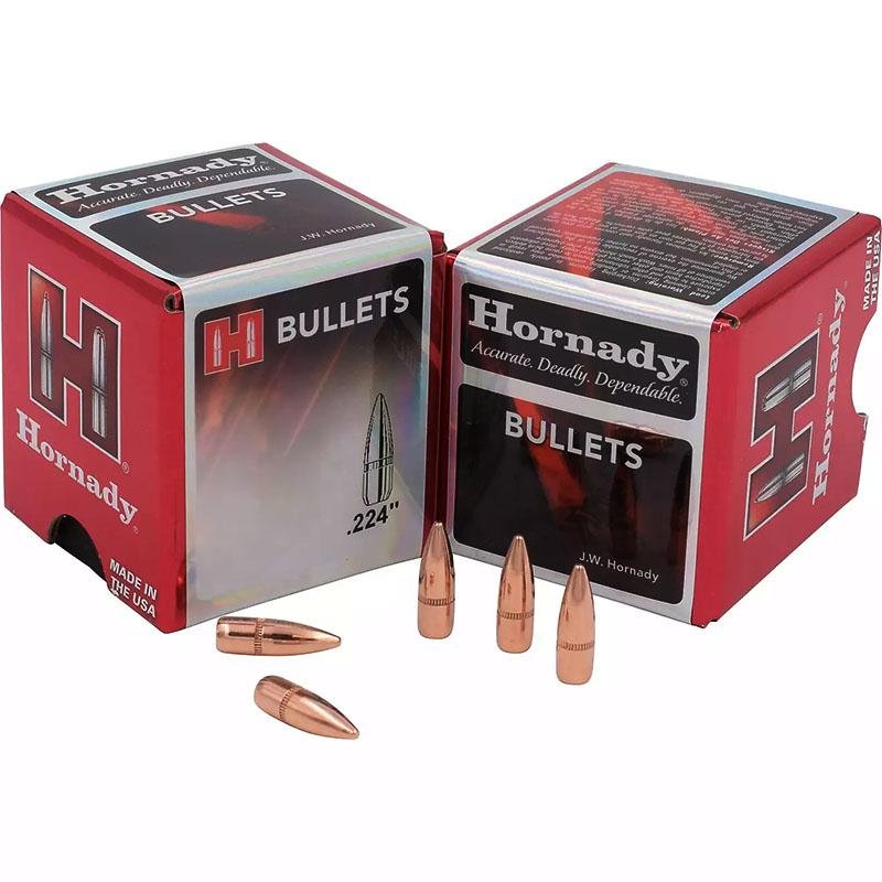 https3A2F2Fmedia.chattanoogashooting.com2Fimages2Fproduct2FHO22760B2Fhornady-full-metal-jacket-bullets-22-cal-224in-62-gr-fmj-5500-count-ho22760b
