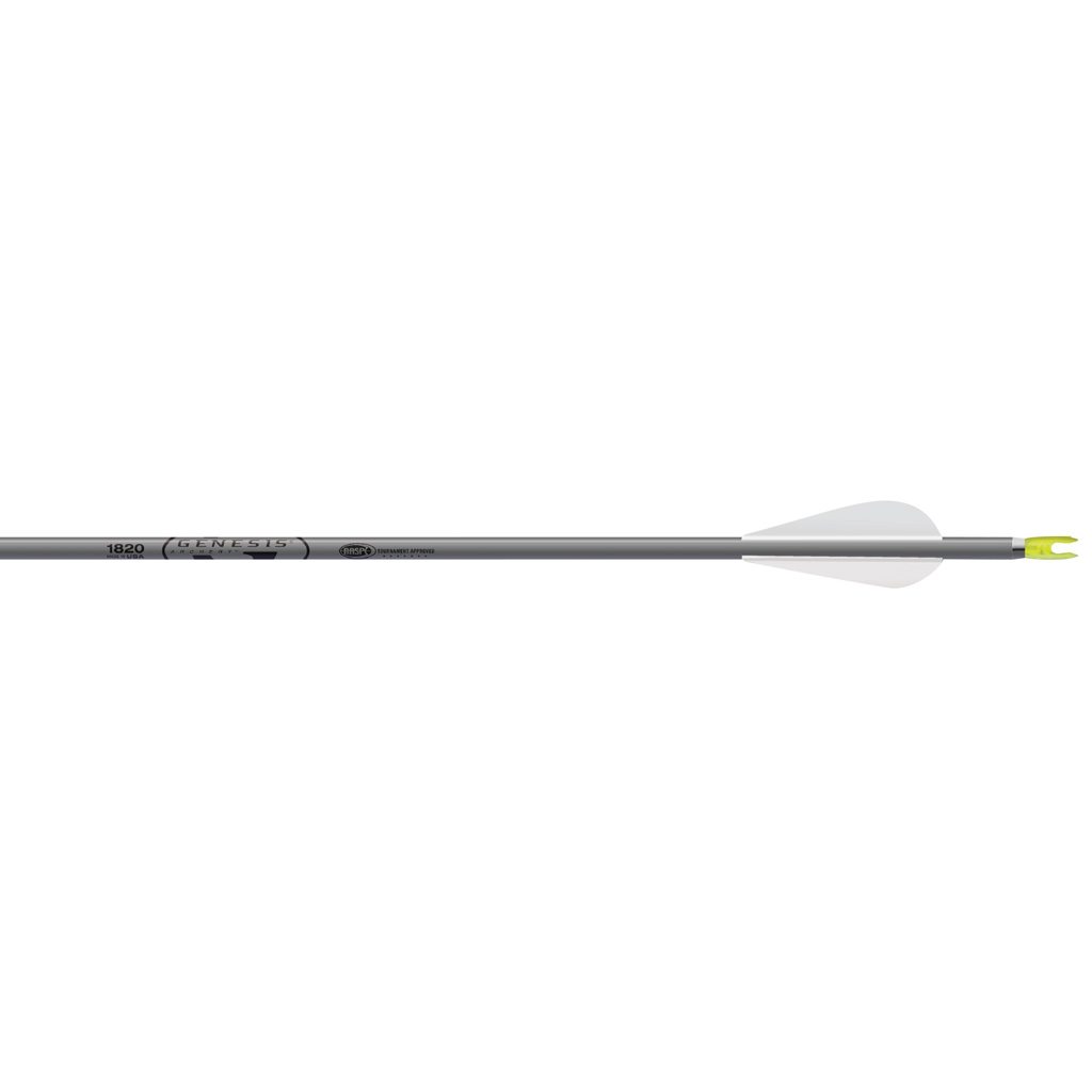 Easton Genesis Arrows 3 in. Vanes Silver 6 pk.