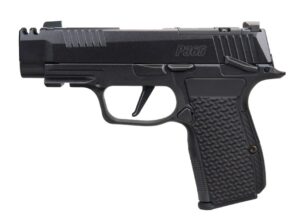 P365 AXG LUXE 380 ACP 3.1" XRAY3 BLK 3/10 CA
