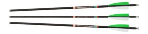 30-06 UFOCB20G-3 UFO LIGHTED MOON NOCK 20" 3PK