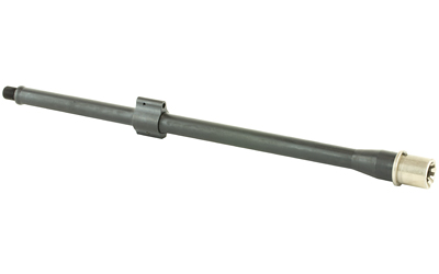 BABL556013F_2.jpg