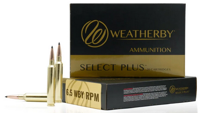 WBY20R65RPM156EH.jpg