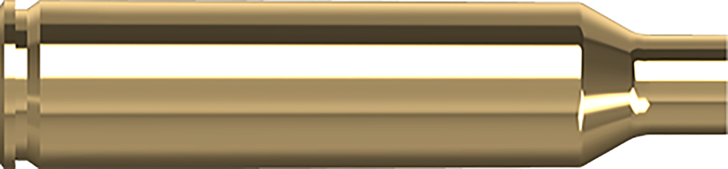 181896.jpg