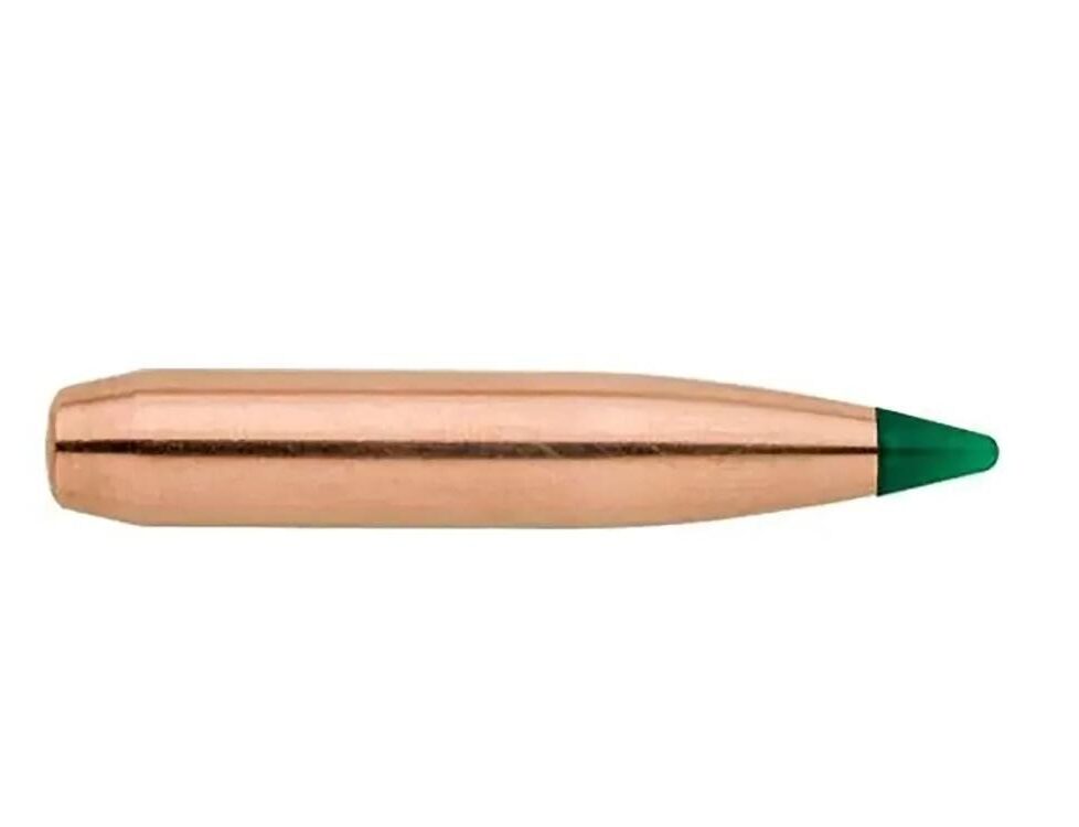 Sierra Tipped Gameking Rifle Bullets 270 cal 175 GR TGK 100/ct